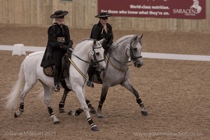 Lusitano Breed Society of Great Britain Show - Hartpury College - 27th June 2009